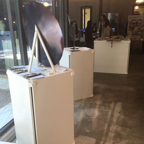 Ausstellungssäulen - Förmschön und Schnell montiert von PlayWood Kollektoren.